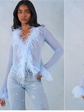 Oh Polly Sheer Feather-Trim Top - Light Blue